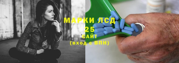 ПСИЛОЦИБИНОВЫЕ ГРИБЫ Заводоуковск