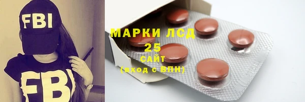 ПСИЛОЦИБИНОВЫЕ ГРИБЫ Заводоуковск